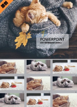 可爱猫星人ppt模板下载
