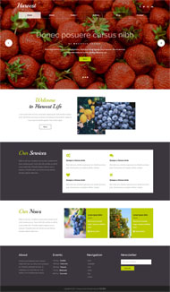 卖蔬菜水果的网站模板