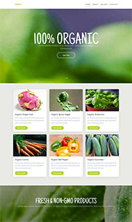 绿色有机植物网站模板