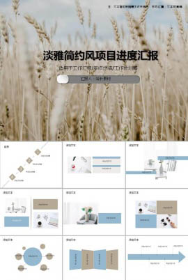 淡雅简约风项目进度汇报ppt模板