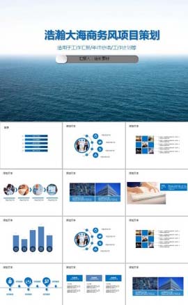 浩瀚大海商务风项目策划PPT模板