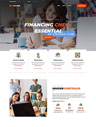 企业金融业务公司网站模板