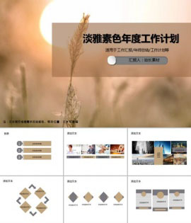 淡雅素色年度工作计划PPT模板