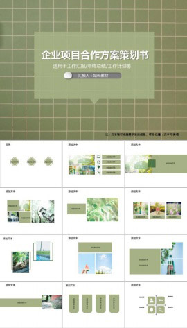 企业项目合作方案策划书PPT模板