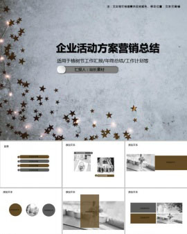 企业活动方案营销总结PPT模板