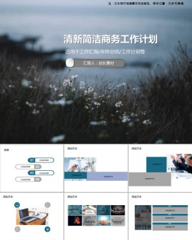 清新简洁商务工作计划PPT模板