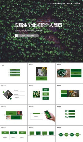 应届生毕业求职个人简历PPT模板
