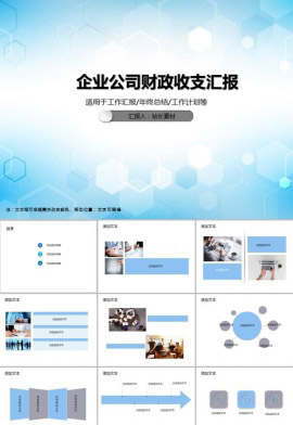 企业公司财政收支汇报PPT模板