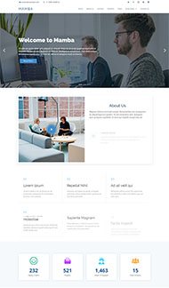 seo推广公司网站模板