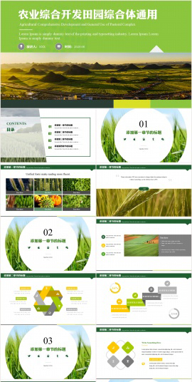 农业综合开发通用PPT模板