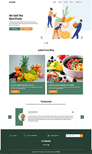大气简洁水果商店HTML模板