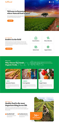 纯天然有机农产品网站模板