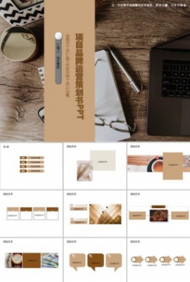 项目品牌运营策划书PPT模板