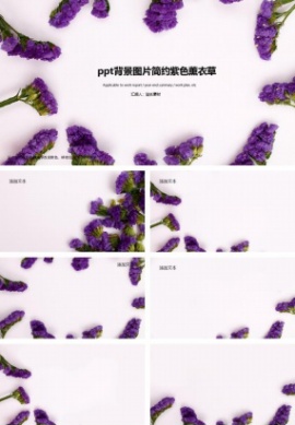 ppt背景图片简约紫色薰衣草