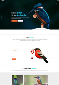 拯救鸟类拯救动物HTML5网站模板