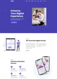 中小型数字产品服务公司网站模板