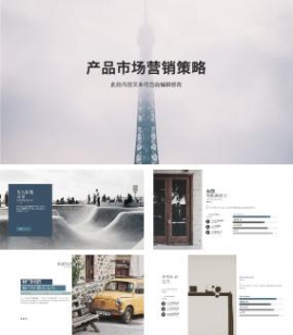 产品市场营销策略分析通用PPT模板