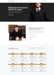 法律专业领域服务机构网站模板