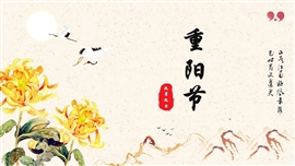 重阳节活动策划商务宣传PPT模板