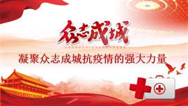 凝聚众志成城抗疫情的强大力量PPT模板