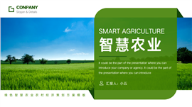 绿色智慧农业农村经济策划方案PPT模板
