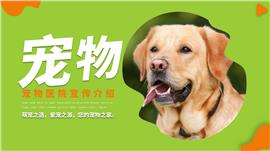 宠物医院介绍宣传ppt模板