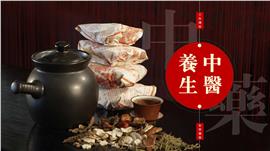 中医养生工作总结汇报演讲PPT模板