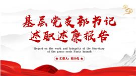 基层支部书记年度述职述廉报告PPT模板