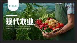 现代农业农产品工作汇报总结ppt模板