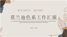 时尚莫兰迪色系工作汇报ppt模板