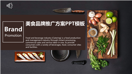 舌尖上的美食美食品牌推广方案ppt模板