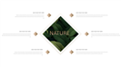 清新自然森系产品营销宣传ppt模板
