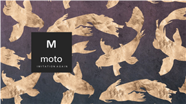 复古飞鸟抽象艺术风格文化介绍ppt模板