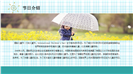六一儿童节节日介绍格子背景卡通ppt模板