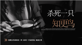 《杀死一只知更鸟》读书笔记ppt模板