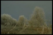 冰天雪地 621