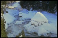 冰天雪地 653