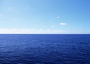 海岸沙滩 338