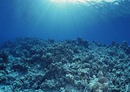 海底世界 161