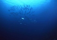 海底世界 89