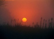 黎明黄昏 170