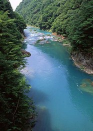 绿树山水 199