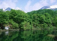 绿树山水 231