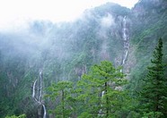 绿树山水 252
