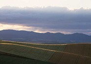 乡村田园 89