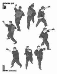 持枪姿势 108