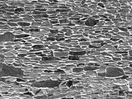 石纹背景图片下载