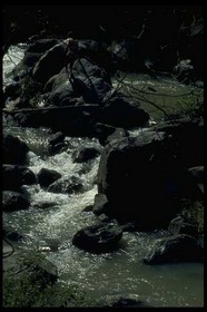 海洋湖泊 130