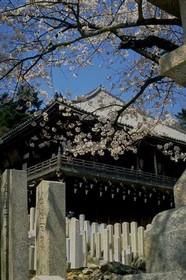 特色建筑 529