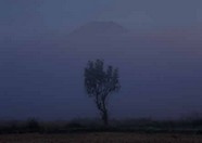 山脉烟花 114